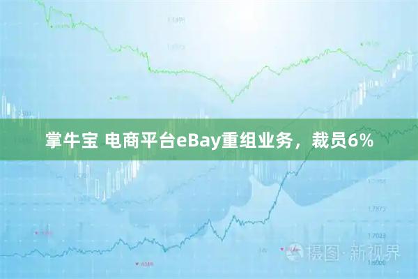 掌牛宝 电商平台eBay重组业务，裁员6%