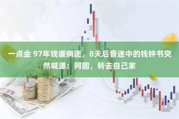 一点金 97年钱瑗病逝，8天后昏迷中的钱钟书突然喊道：阿圆，转去自己家